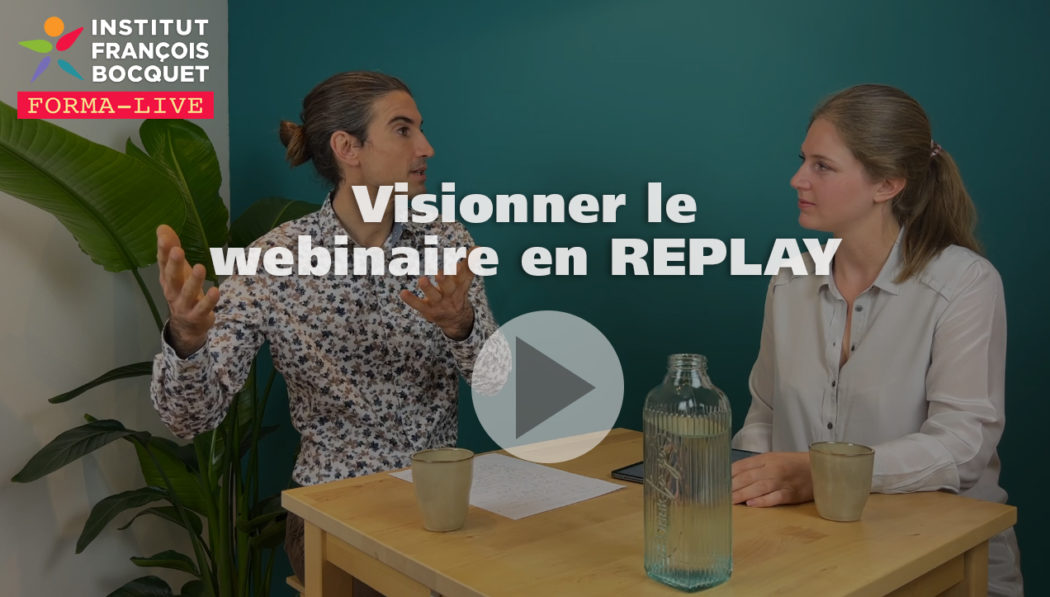 Replay Webinaire intelligence émotionelle avec jean-Marc Pairraud - Institut François Bocquet
