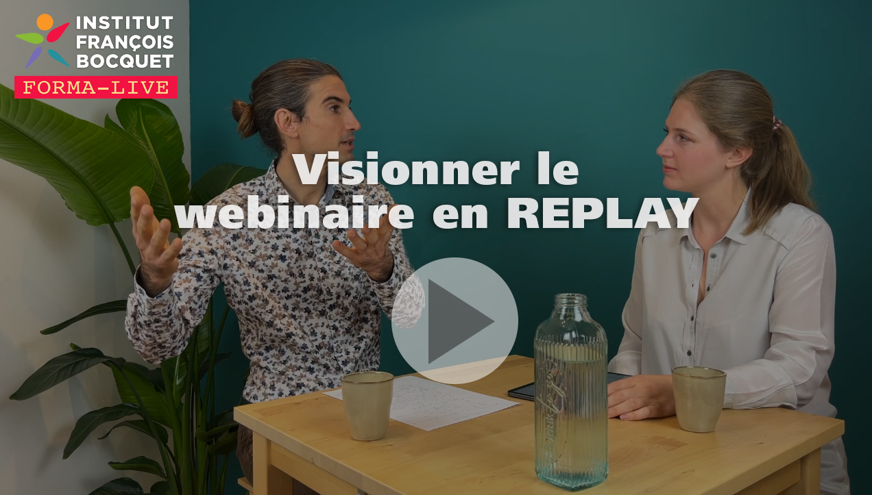 Replay Webinaire intelligence émotionelle avec jean-Marc Pairraud - Institut François Bocquet